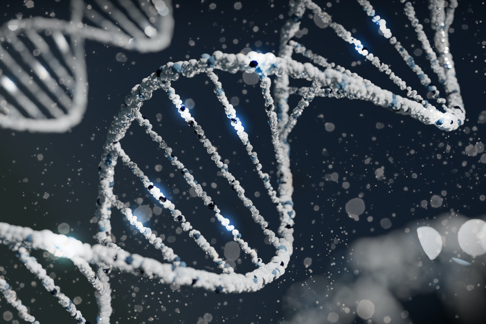 Cancer subtype classification with sparse dimensionality reduction methods project preview